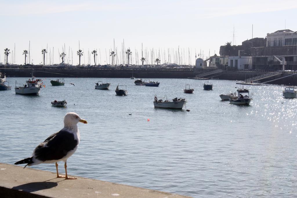 Charming Cascais Apt. Bilik gambar